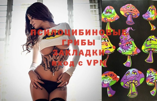 СК Арсеньев