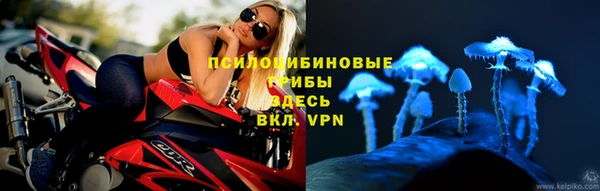 СК Арсеньев