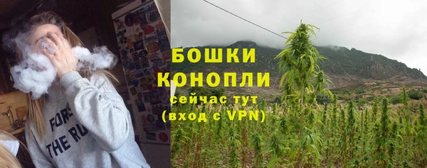 СК Арсеньев