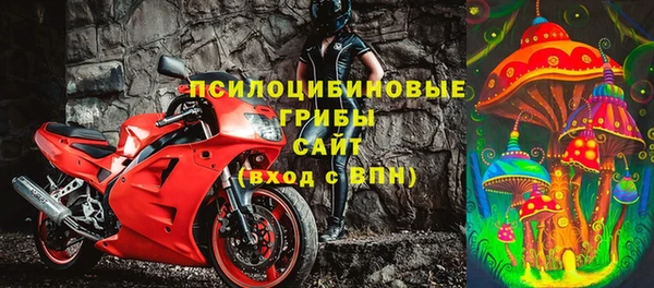 СК Арсеньев