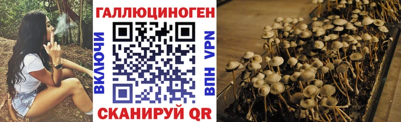 Псилоцибиновые грибы Magic Shrooms  купить   Сенгилей 